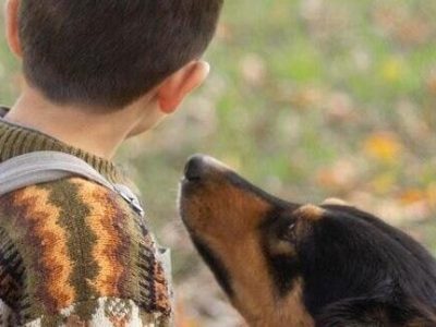 Maringa-tera-‘pet-servidor-publico-para-atender-criancas-autistas