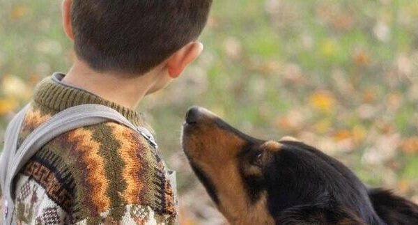 Maringa-tera-‘pet-servidor-publico-para-atender-criancas-autistas